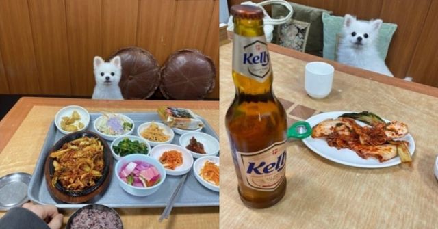 사진=온라인 커뮤니티