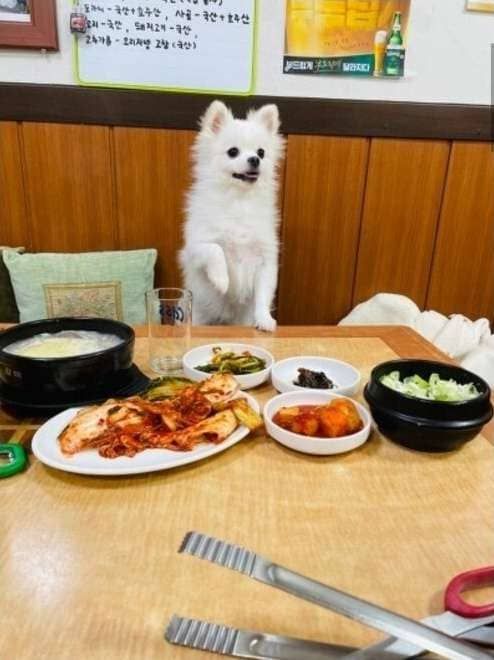 사진=온라인 커뮤니티