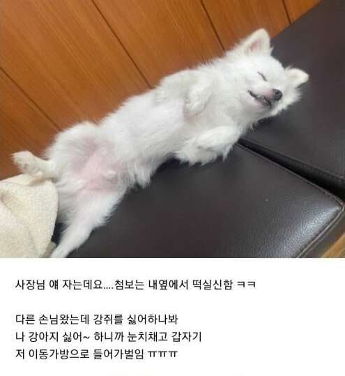 사진=온라인 커뮤니티