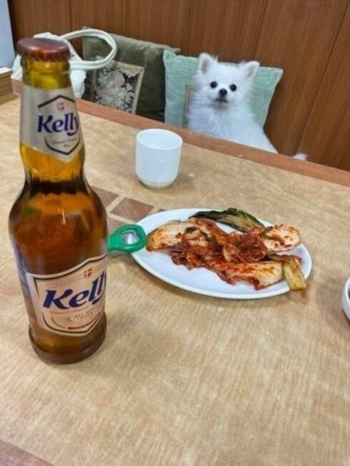 사진=온라인 커뮤니티