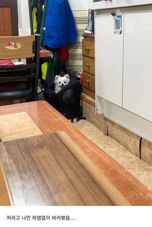 사진=온라인 커뮤니티