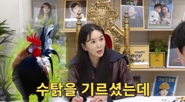 유튜브 'A급 장영란'