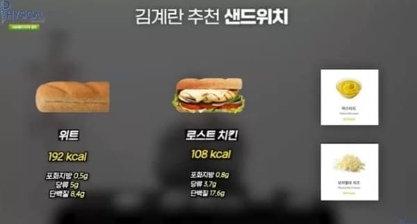 유튜브 '피지컬 갤러리'