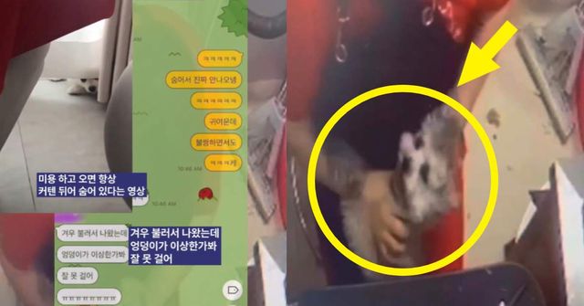 케어 공식 인스타그램