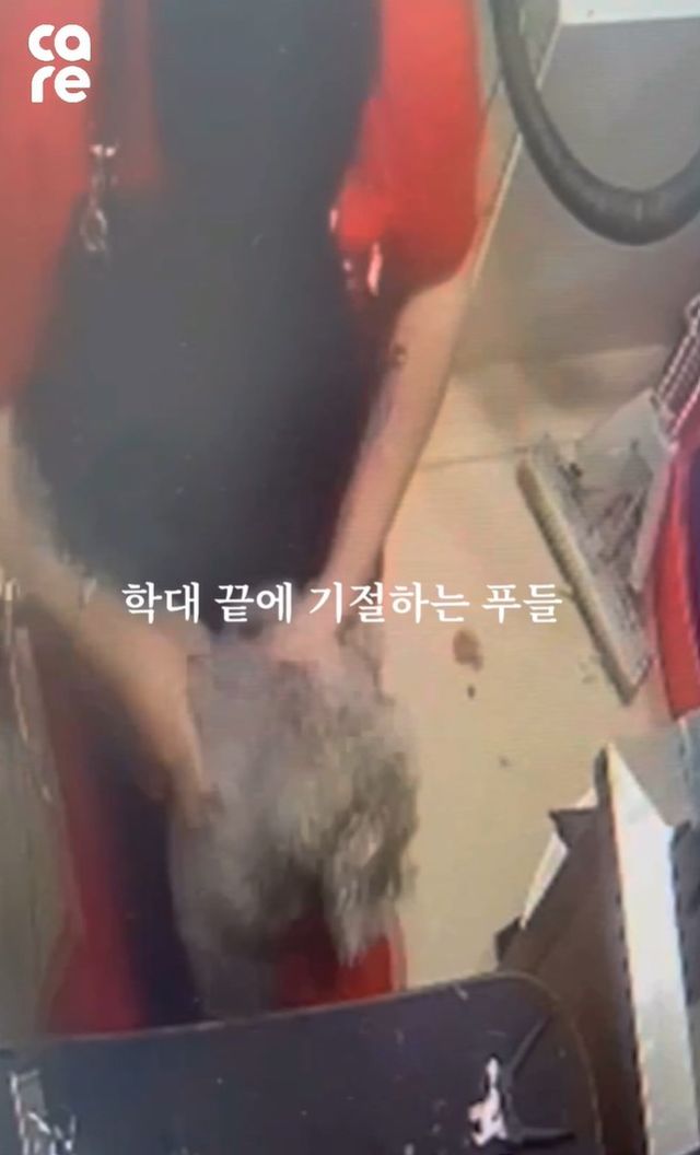 케어 공식 인스타그램