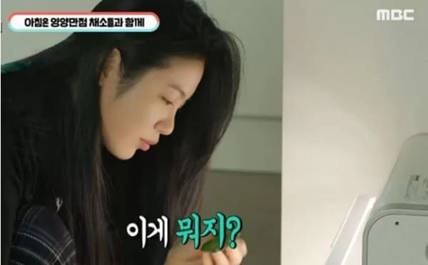 MBC '전지적 참견 시점'