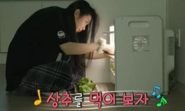 MBC '전지적 참견 시점'