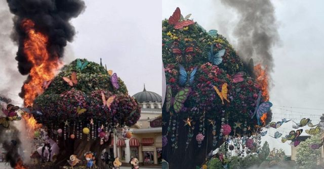 사진=온라인 커뮤니티 캡쳐/문화일보, JTBC