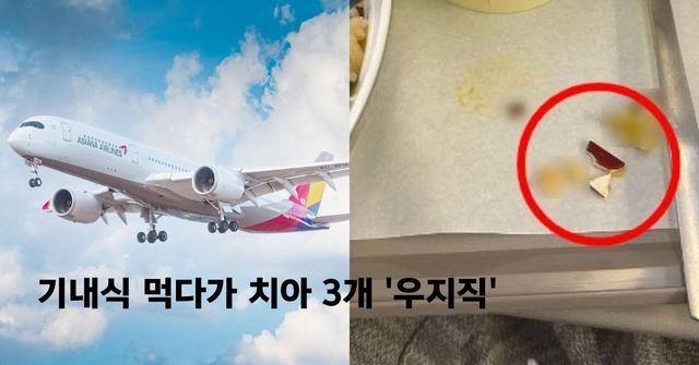 사진=온라인커뮤니티 캡쳐/스사사, 아시아나항공 인스타그램