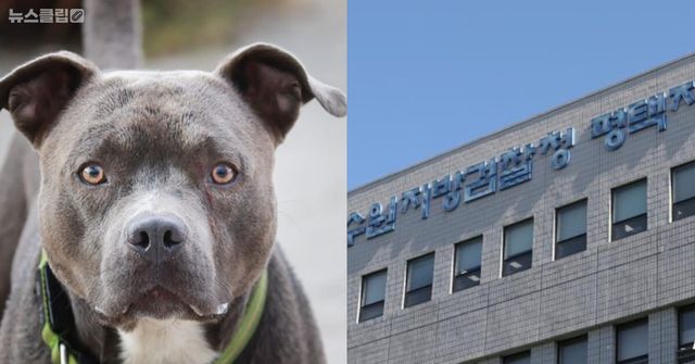 사진=뉴스클립DB/뉴스1