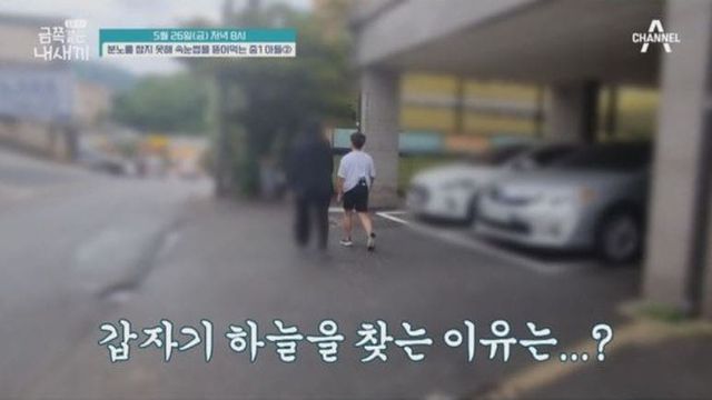 채널A '요즘 육아-금쪽같은 내새끼'