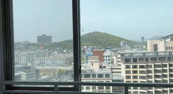 유튜브 'THE 프리지아'