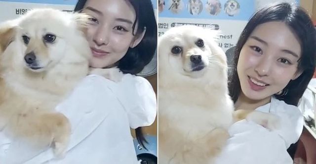 천사들의 보금자리 인스타그램