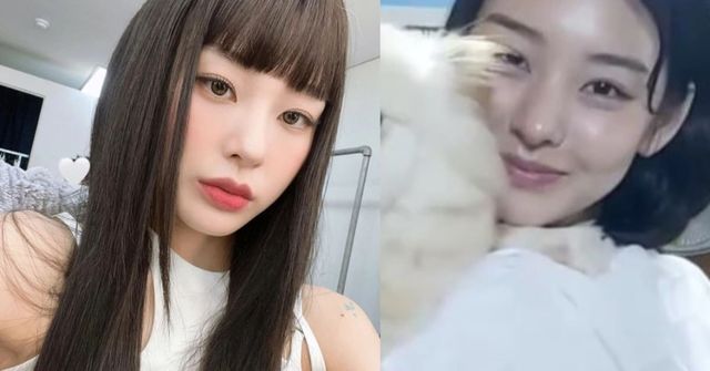 노제 인스타그램 / 천사들의 보금자리 인스타그램