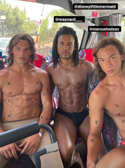 출처:스테파노 SNS