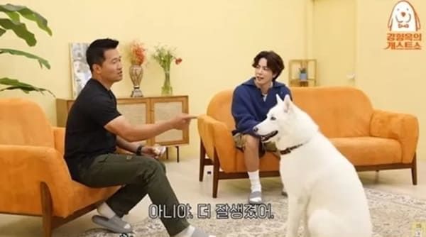 유튜브 '강형욱의 보듬TV'