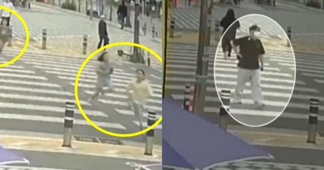 YTN 방송화면 갈무리