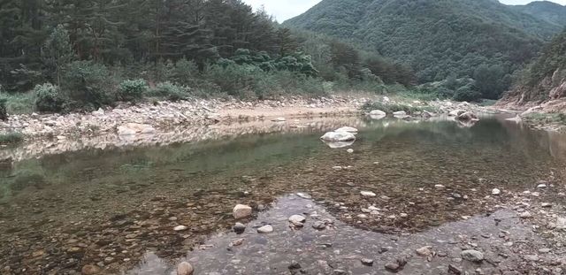 사진=유튜브 채널 계곡은개골개골 캡처