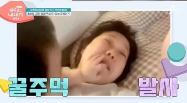 채널A '요즘 육아 - 금쪽같은 내새끼'