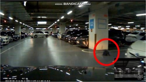 온라인 커뮤니티 캡처