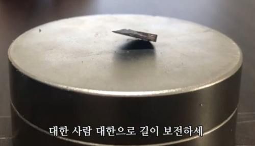 온라인 커뮤니티 캡처