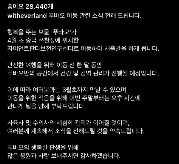 사진 = 에버랜드 인스타그램