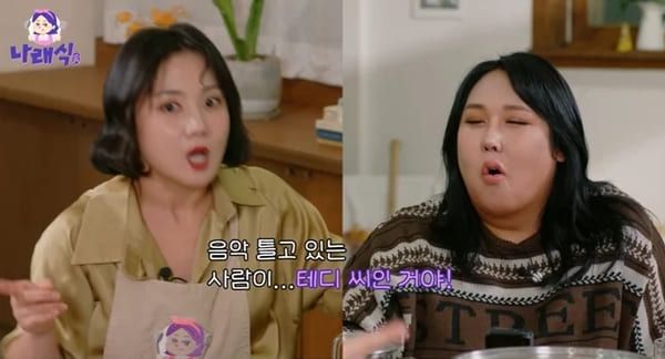 유튜브 '나래식'