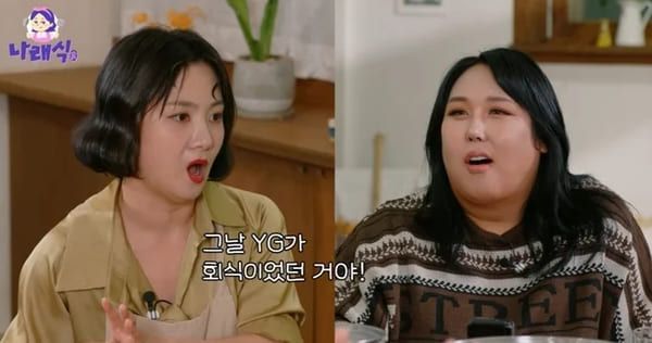 유튜브 '나래식'