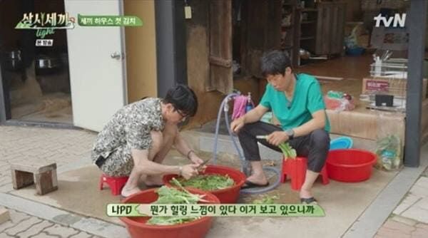 tvN '삼시세끼 라이트'
