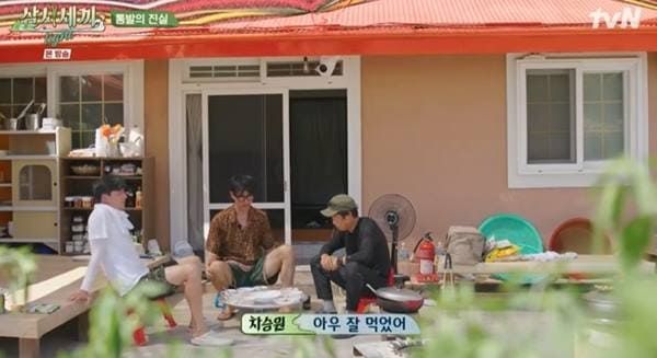 tvN '삼시세끼 라이트'