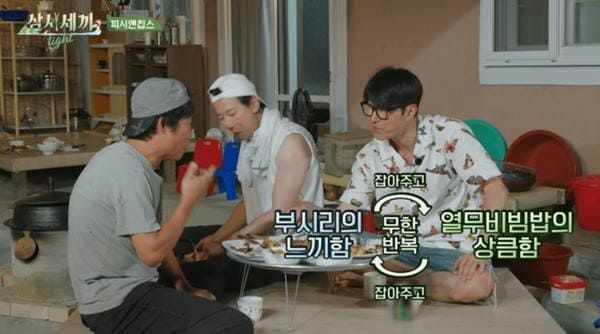 tvN '삼시세끼 라이트'
