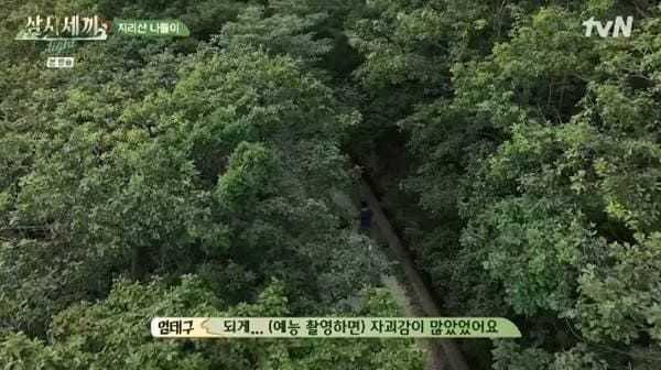 tvN '삼시세끼 라이트'