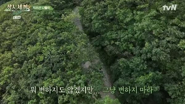 tvN '삼시세끼 라이트'