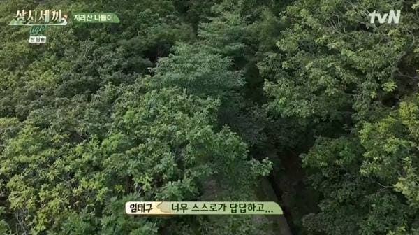 tvN '삼시세끼 라이트'