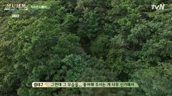 tvN '삼시세끼 라이트'