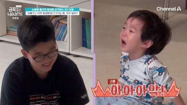 출처:채널A 예능 '요즘 육아 - 금쪽같은 내 새끼'