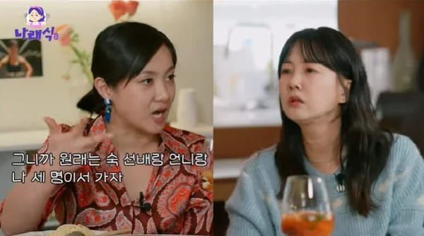 유튜브 '나래식'