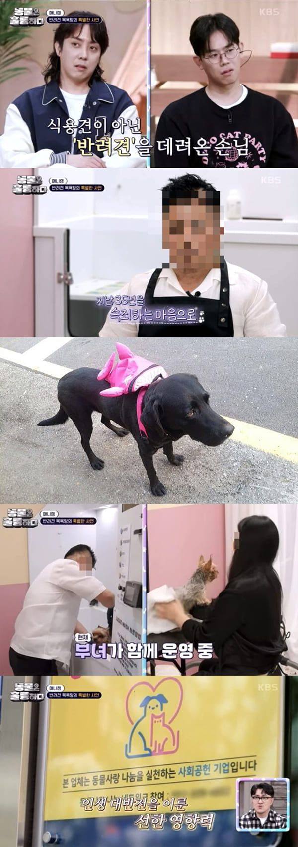 사진=KBS2 '동물은 훌륭하다'