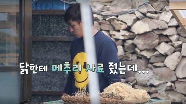 tvN '삼시세끼'