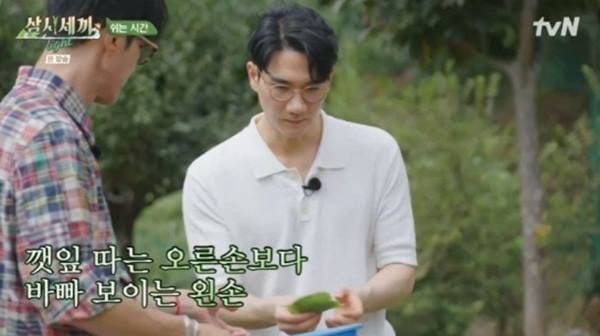 tvN '삼시세끼 라이트'