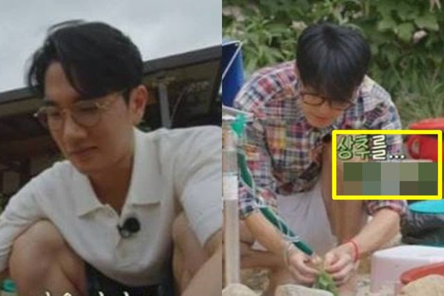tvN '삼시세끼 라이트'
