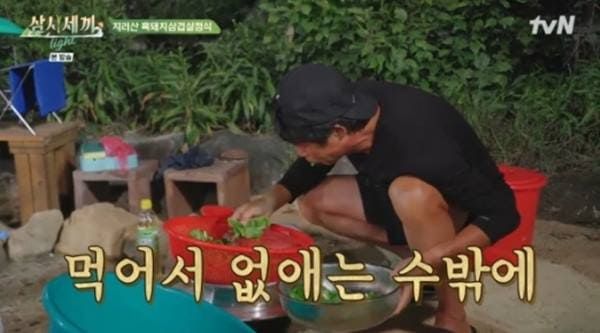 tvN '삼시세끼 라이트'