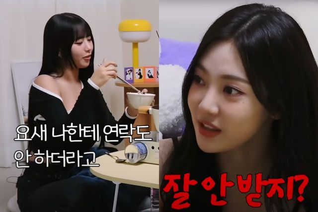 유튜브 채널 '띠집'