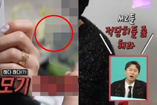 MBC '전지적 참견 시점'