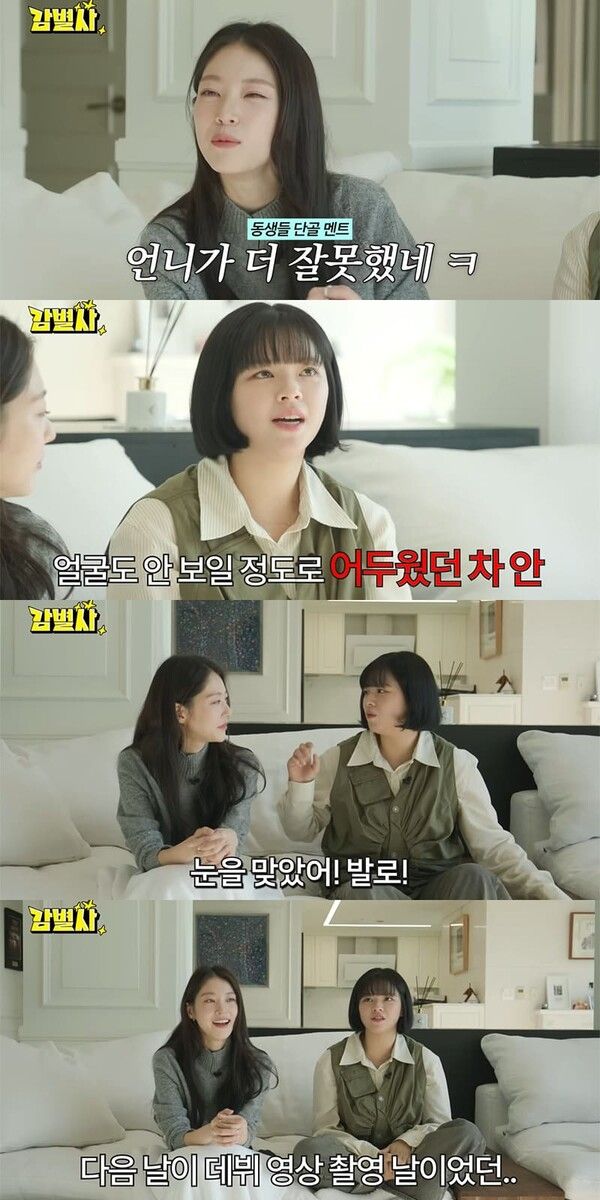 유튜브 채널 '감별사'