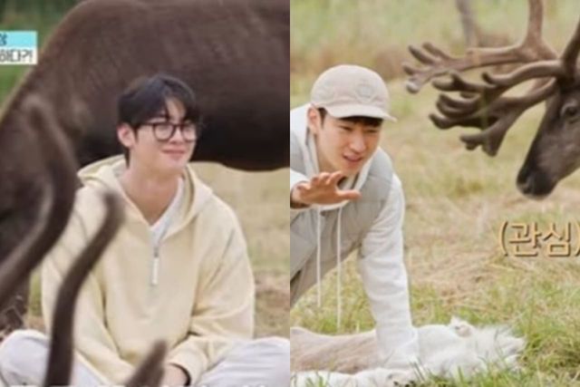 tvN '핀란드 셋방살이'