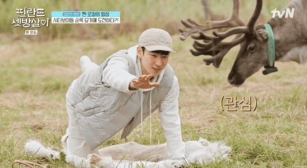 tvN '핀란드 셋방살이'