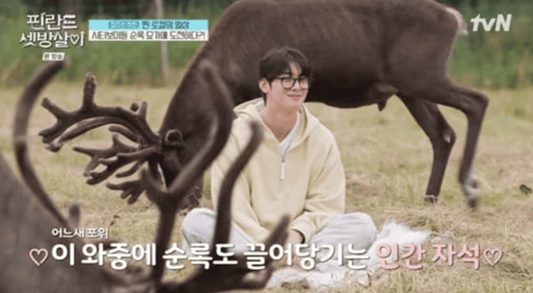 tvN '핀란드 셋방살이'