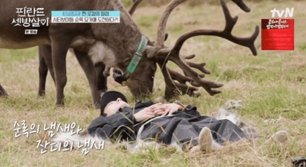 tvN '핀란드 셋방살이'