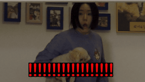 유튜브 '동네친구 강나미'